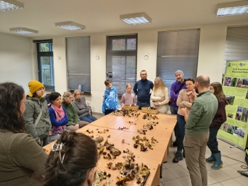 Relacja zdjęciowa z Dnia Grzyba 2025, 